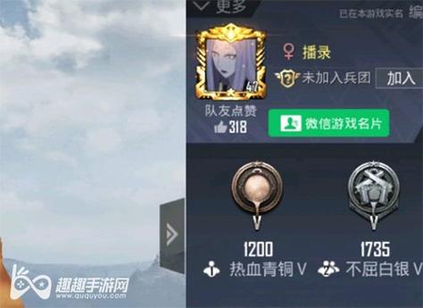 探索和平精英辅助工具背后的技术奥秘